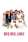 Bye Bye Love poster