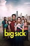 The Big Sick poster