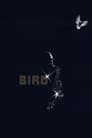 Bird poster