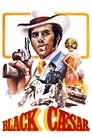 Black Caesar poster