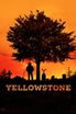 Yellowstone poster