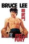 Fist of Fury poster