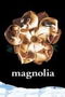 Magnolia poster