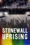 Stonewall Uprising poster