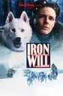 Iron Will poster