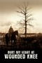 Bury My Heart at Wounded Knee poster