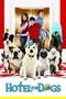 Hotel for Dogs poster